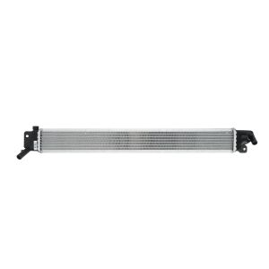 Arrefecedor do motor NISSENS 666209