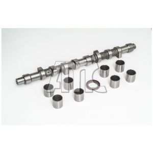 Conjunto da árvore de cames AMC 641871K
