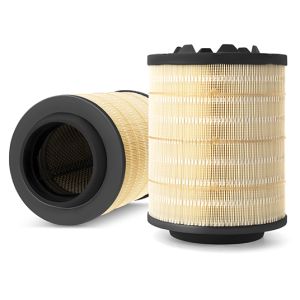 Filtro aria FLEETGUARD AF25875