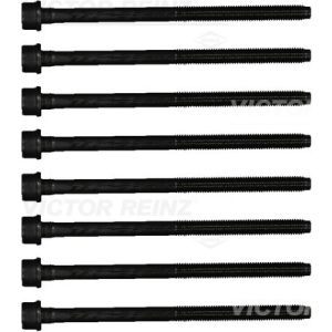 Kit de parafusos, cabeça do cilindro REINZ 14-21800-01