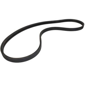 Correa poly V OPTIBELT 1001599AP