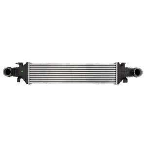 Intercooler THERMOTEC DAM018TT