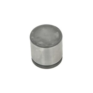 Piston, étrier de frein CQ 71454509, Avant