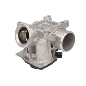 AGR-Ventil DELPHI EG10737-12B1
