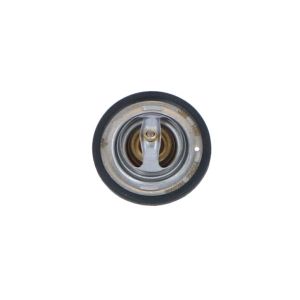 Thermostat NRF 725064
