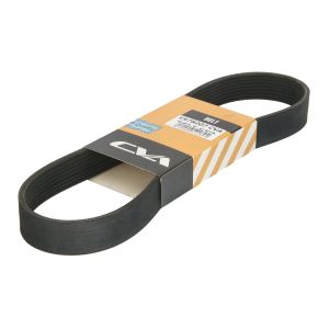 Correa poly V CVA V978207 CVA