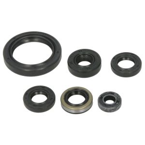 Conjunto de vedantes do óleo do motor WINDEROSA W822379