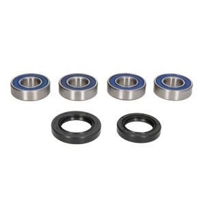 Radlagersatz ALL BALLS AB25-1381