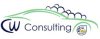 CW CONSULTING