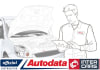 AUTODATA Elektronické  IC-AUTODATA-SM