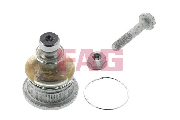Опора кульова (передня/знизу) Renault Megane II/Scenic 02- (d=16mm) FAG фото 12