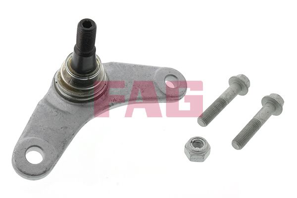 Опора кульова (передня/знизу/R) Mini Cooper 01-06 (R50/R52/R53) FAG фото 10