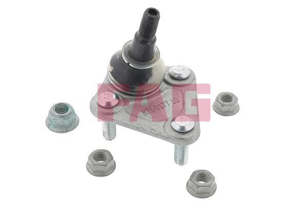 Опора кульова (передня/знизу) Audi A3 99-03/TT 98-06/Golf IV 02-05 FAG фото 12