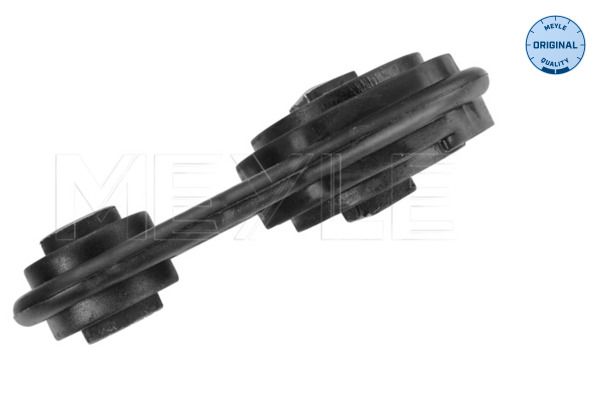 Подушка двигуна (нижня) Renault Megane II/Scenic II 1.9dCi 02- (косточка) Meyle фото 10