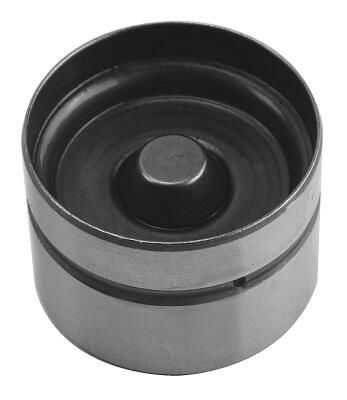 Гідрокомпенсатор ALFA/FIAT/ROVER/RENAULT 1.4-2.4 16V 182A4/182B6/D16A8/F2N 24MM 19 AE (FOL106) AE фото 5