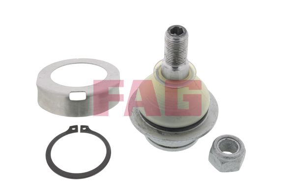 Опора кульова (передня/знизу) Ford Transit V184/V347 00- /Connect 02- FAG фото 7