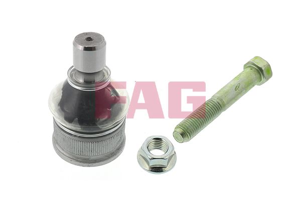 Опора кульова (передня/знизу) Mazda 3/5 03-10 FAG фото 8