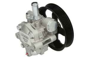 Hydraulic Pump, steering LAU 55.6909 - 1