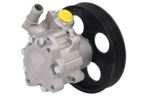 Hydraulic Pump, steering LAU 55.0479 - 1