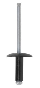 Nit