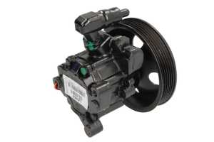 Hydraulic Pump, steering LAU 55.0981 - 1
