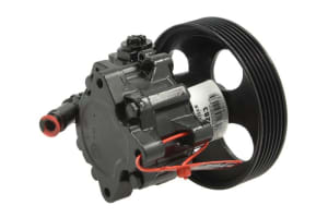Hydraulic Pump, steering LAU 55.4283 - 1