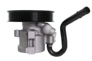Hydraulic Pump, steering LAU 55.9263 - 5