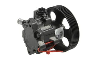 Hydraulic Pump, steering LAU 55.4303 - 1