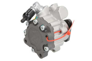 Hydraulic Pump, steering LAU 55.9973 - 1