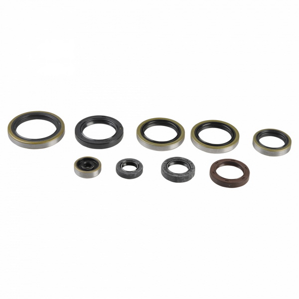 ATHENA engine gasket set HUSABERG TE 300, 250 11-12, HUSQVARNA TC 250 KTM ENGINE 17, TE 300, 250 KTM ENGINE 14-16, KTM EXC 250, 300 (SIX DAYS), 300, 250 (SIXDAYS), 250 2T 04-16, FREERIDE 250 R 14-17, MXC 300 04-07, SX 250 03-16, XC 300, 250 06-18, XC-W 30