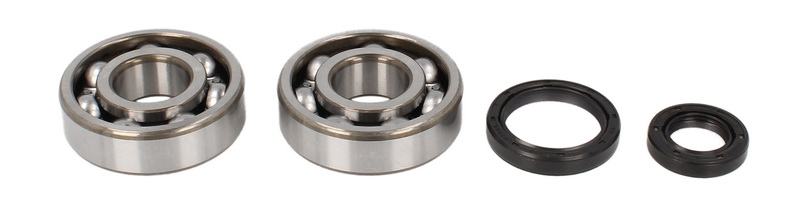 ALL BALLS crankshaft bearings with seals SUZUKI RM 125 89-08