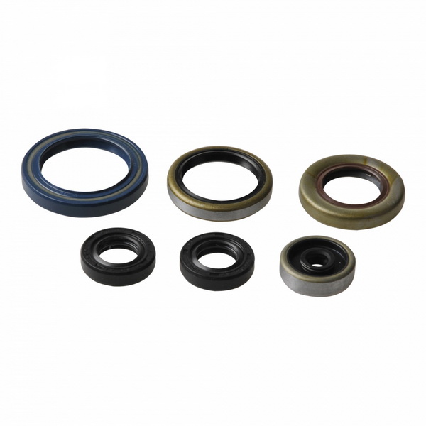 Levně ATHENA sada motorového těsnění HUSQVARNA TC 85 14-17, KTM SX 105, 85, 85LW, 85BW 03-17, XC 85, 105 03-13 (B0088OEWF4, 822264)