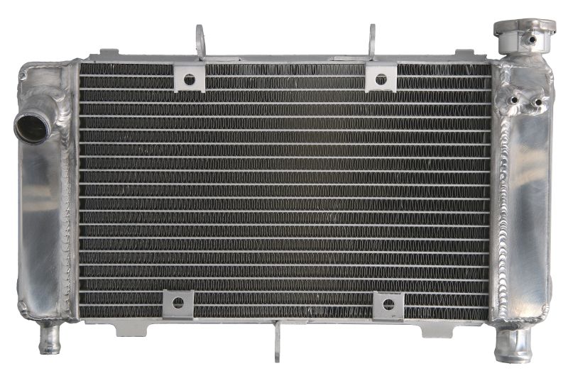 Radiator se potrivește: YAMAHA FZ6 600 2004-2006