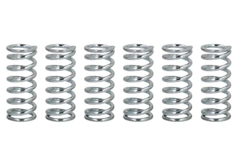 Levně FERODO spojková pružina - sada KAWASAKI KDX 200, 125, 175 80-94, KE 125 80-85, KH 250, 125, 400 76-80, KLX 250 95-00, KX 125 83-87, SUZUKI B 120