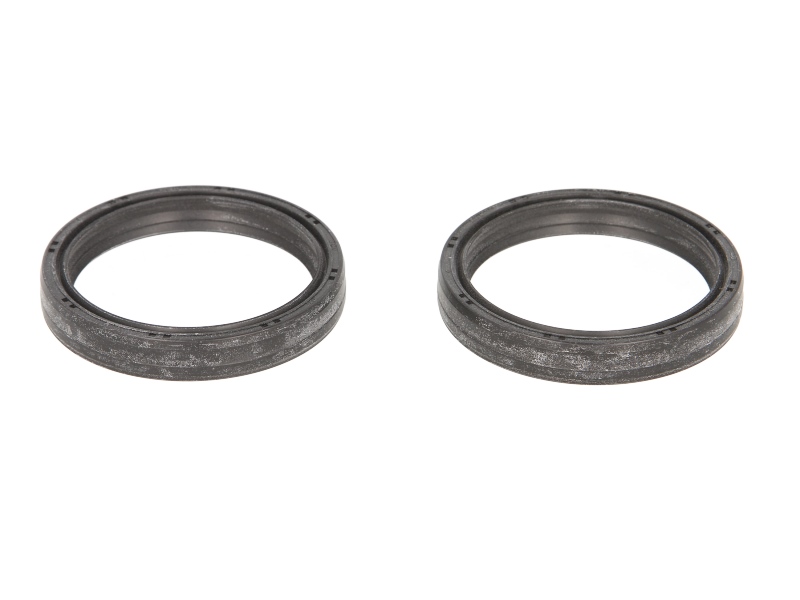 ATHENA fork oil seals (2 pcs) 48X58X9 (ARI145)