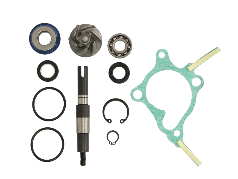 Levně RMS opravná sada, vodní pumpa HONDA FES 250 (FORESIGHT) 98