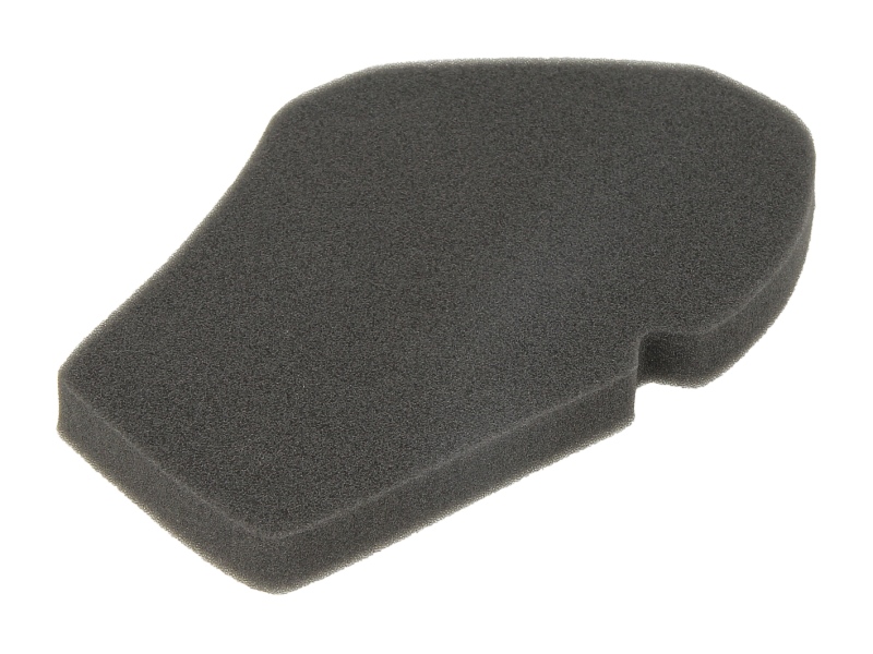 Levně RMS vzduchový filtr SUZUKI UH 125 (BURGMAN), 150 (BURGMAN) 02-06