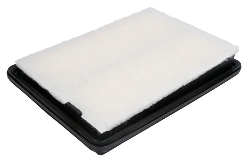 Filter zraka za vozilo NISSAN QASHQAI 2