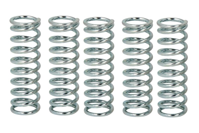 TRW ZF clutch springs HONDA CB 1100 X11 00-03, CBR 1100 XX BLACKBIRD DUAL 99-08, VTR 1000 00-07, SUZUKI GS 500 89-08, (EBS043)