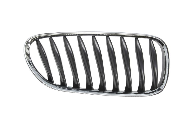 Desna prednja maska / Grill za vozilo BMW Z4 E85, E86