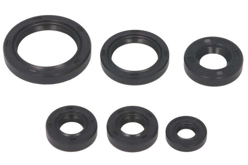 WINDEROSA sada motorového těsnění KAWASAKI KEF 300 (LAKOTA) 95-03 (822241)