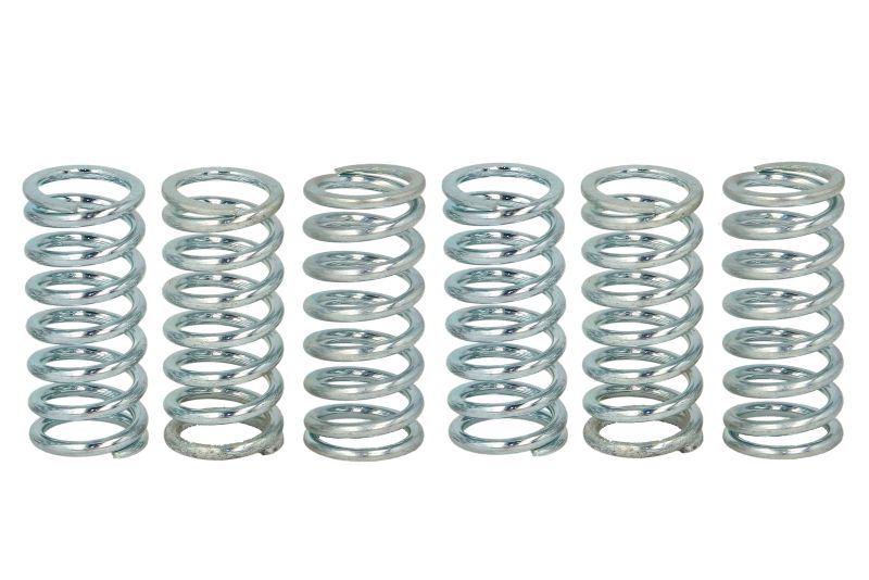 TRW MOTO spojková pružina - sada APRILIA ETV 1000 (CAPO NORD) 01-08, MOTO 650 95-00, PEGASO 650 IE (GARDA), IE 93-04, RST 1000 (MILLE FUTURA) 01-04, RSV 1000 R, (MILLE), R (DREAM) 98-10, SL 1000 (FALCO) 00-05, TUONO 1000 R 04-05, BMW F 650 GS, CS (SCARV.)