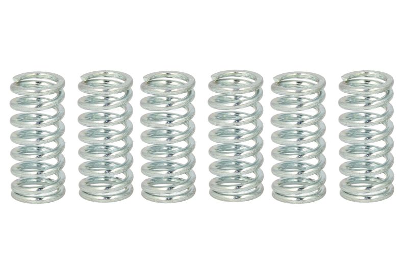 TRW ZF clutch springs APRILIA 125 RED ROSE 90-95, YAMAHA YZ 125 87-89, WR 250 01-17, XS 400 77-83, FZS 600 98-99, TT 600 85-99, TTR 600 97-04, XT 600 83-86, XT 600 Z TENERE 83-87, SUZUKI RM 250 89-92, (EBS002)