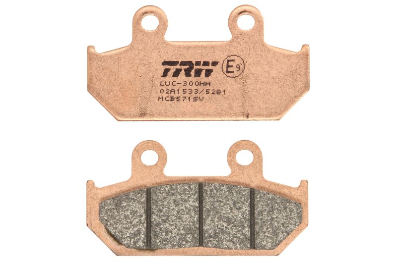 TRW MOTO sada brzdových destiček, kotoučová brzda HONDA CBR 1000 F 87-88, NX 650 (DOMINATOR) 93-94, RS 125 R 88, VFR 700 F, F2 (INTERCEPTOR) 86-87, VTZ 250 88, XL 400 V (TRANSALP) 92 (B0053APQ7Y, 2P220GS, 2P220NS, 2P220SS, 2P220ST, FDB452ST)
