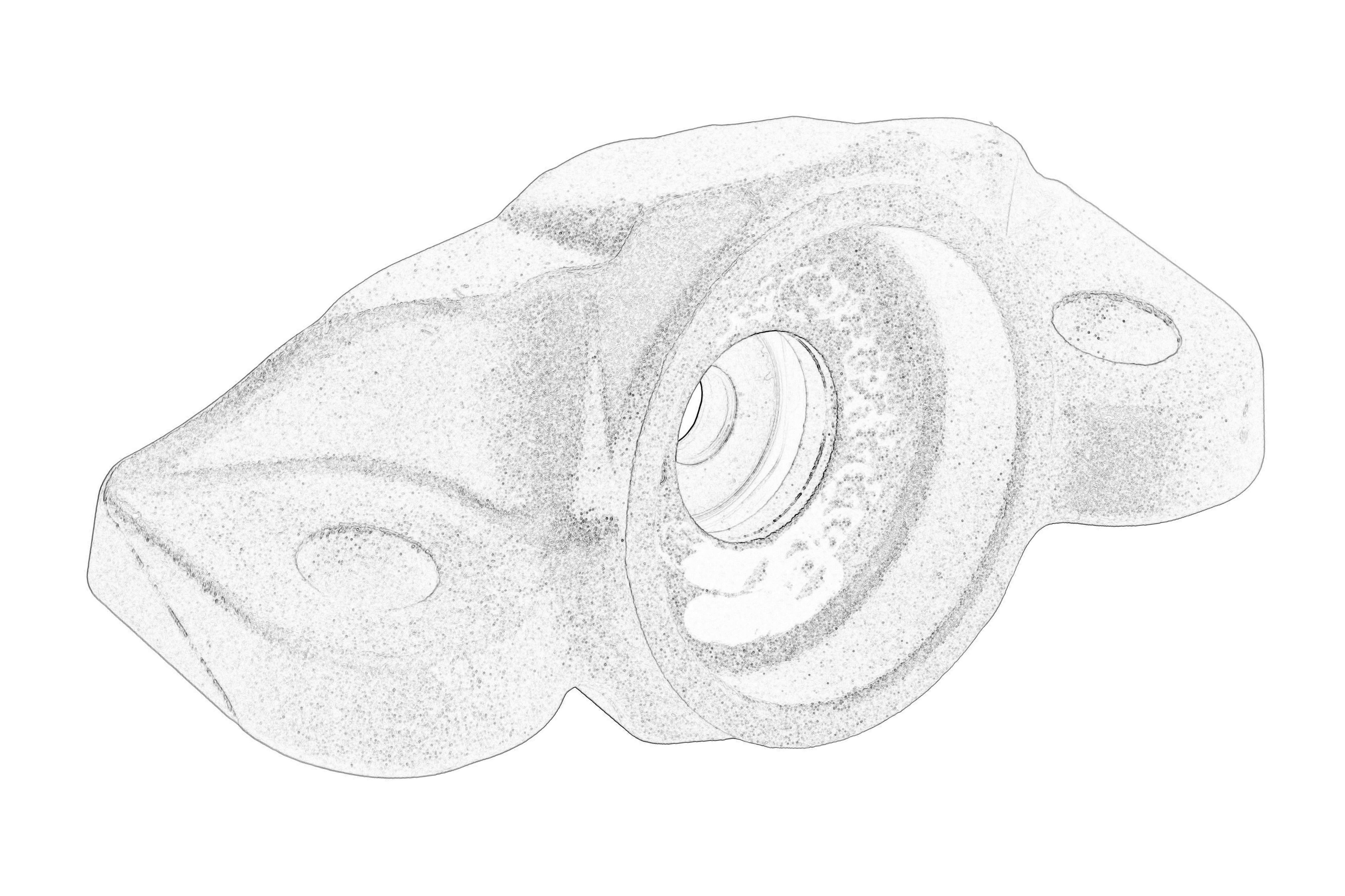 Кріплення амортизатора задн FORD MONDEO V, FORD USA FUSION 1.0-2.7 09.12-03.22