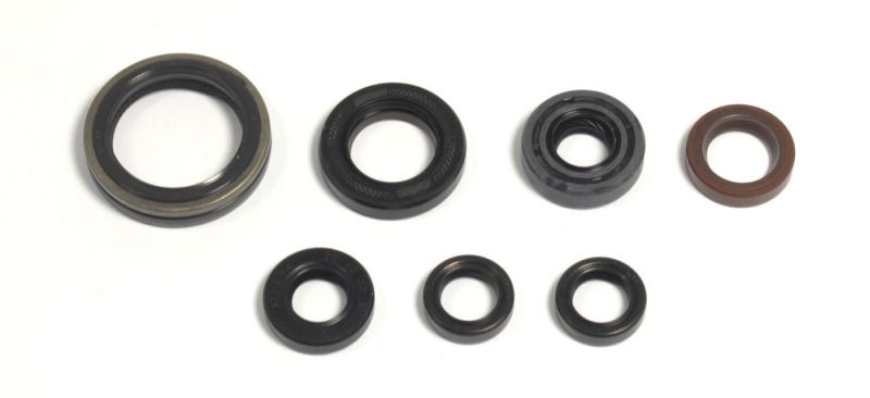 ATHENA sada motorového těsnění GAS GAS EC 250F 4T, 300F 4T 13-15, YAMAHA WR 250 F 01-13, YZ 250 F 01-13 (B0088OFACS, 822175)