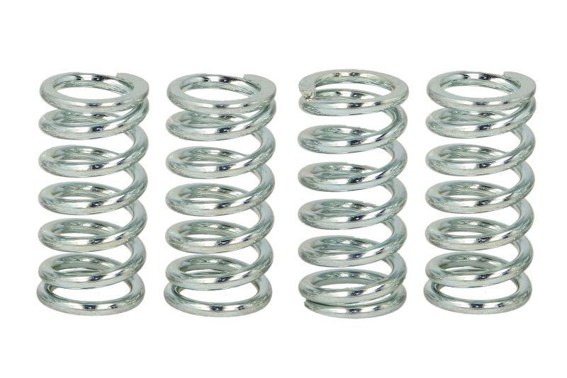 TRW MOTO spojková pružina - sada HONDA CB 750 F2 (SEVEN FIFTY) 92-03, KAWASAKI ZXR 400 L 91-03, SUZUKI GN 250 84-02, VL 125 LC (INTRUDER) 00-08 (B00684MPCI)