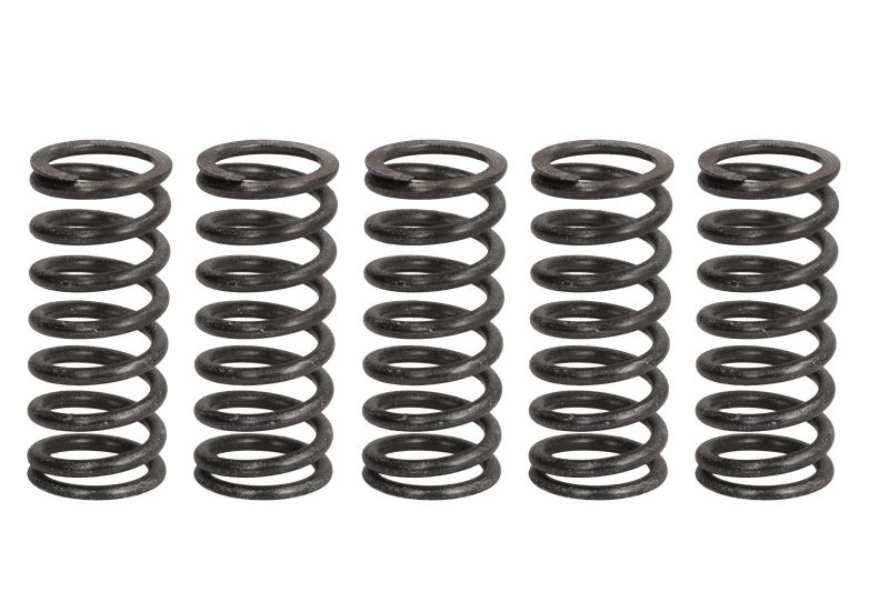 TRW ENGINE COMPONENT spojková pružina - sada KAWASAKI KX 450 F 12-20