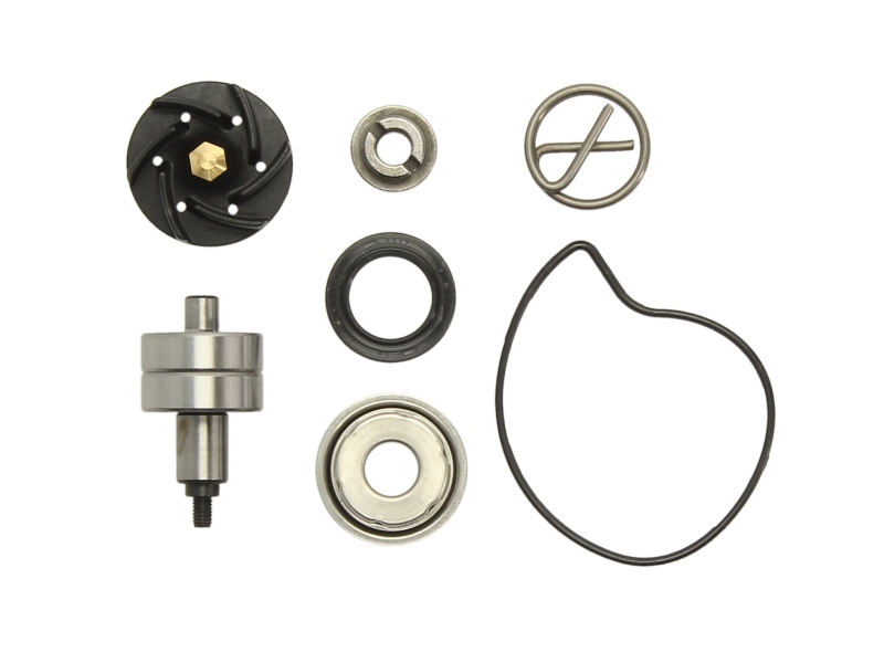 Levně RMS opravná sada, vodní pumpa GILERA NEXUS 250SP, 300, 300IE, 250 06-09, OREGON 250 QUAD 06-10, PIAGGIO/VESPA BEVERLY 250I.E., 250, 250IE (CRUISER),