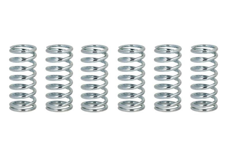 FERODO spojková pružina - sada APRILIA ETV 1000 (CAPO NORD) 01-02, MOTO 650 95-99, PEGASO 650 IE 92-04, RST 1000 (MILLE FUTURA) 01-02, RSV 1000 R (MILLE), (MILLE), SP 97-00, SL 1000 (FALCO) 00-02, TUONO 1000 R 04-10, BMW F 650 CS ABS (SCARV.), ST, CS (SCA